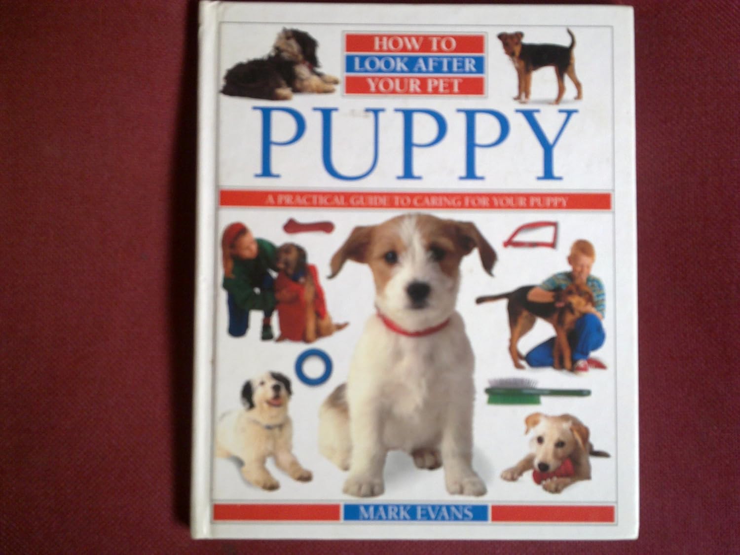 How To Look After Your Pet: 2 Puppy : Evans, Mark: Amazon.co.uk: Books