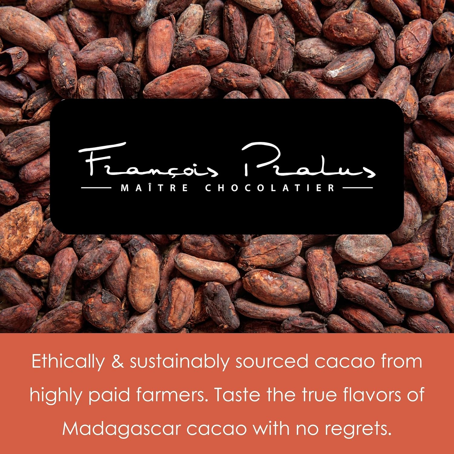 Le 100% Cocoa Pack of 2