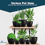 Lifemaster Plant Pots with Multi Drainage Holes - 5 Pieces Versatile, Sturdy Plastic, Stackable Design Home Decor Flower Pots for Indoor and Outdoor Gardening - Black
