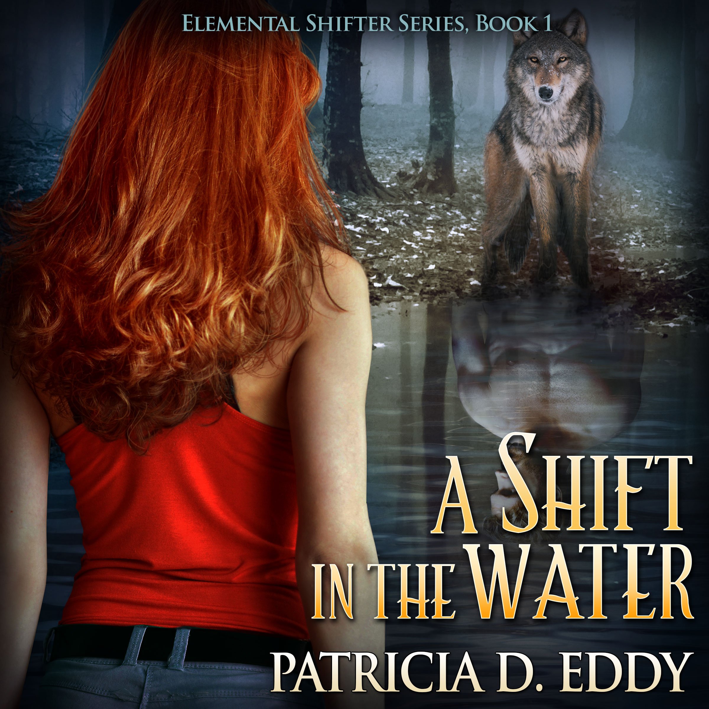 Cover art for A Shift in the Water
