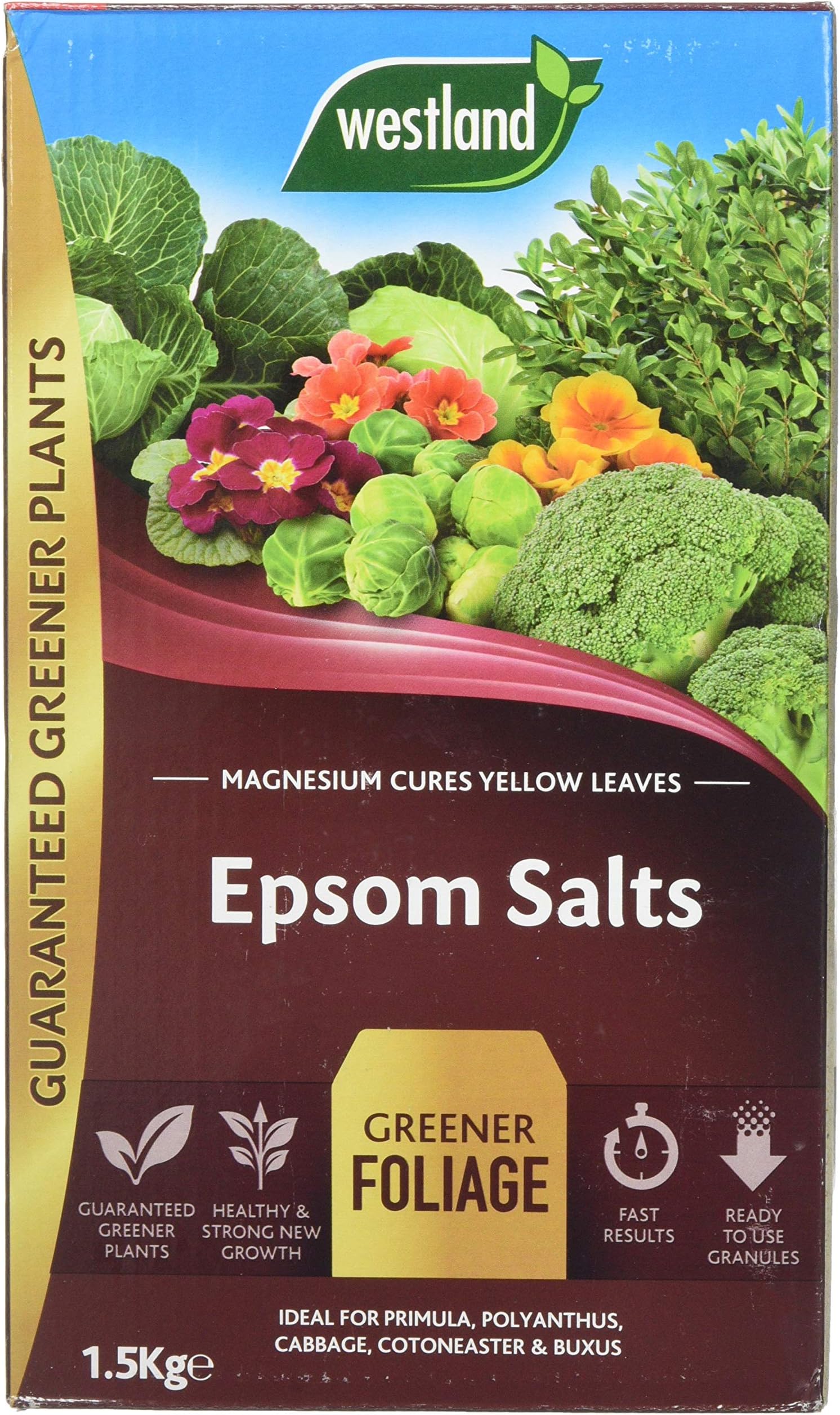 Westland 20600007 1.5 kg Epsom Salts Foliage Greener Fertilizer - Transparent