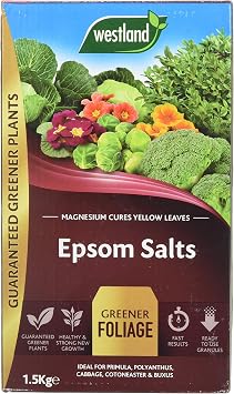Westland 20600007 1.5 kg Epsom Salts Foliage Greener Fertilizer - Transparent