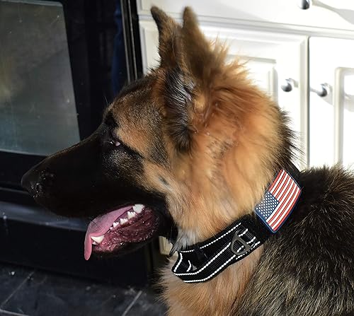 Miniatura 7 de Diezel Pet Products - Collar para perro con mango de control de liberación rápida, hebilla de metal resistente, estilo militar, de 2 pulgadas de