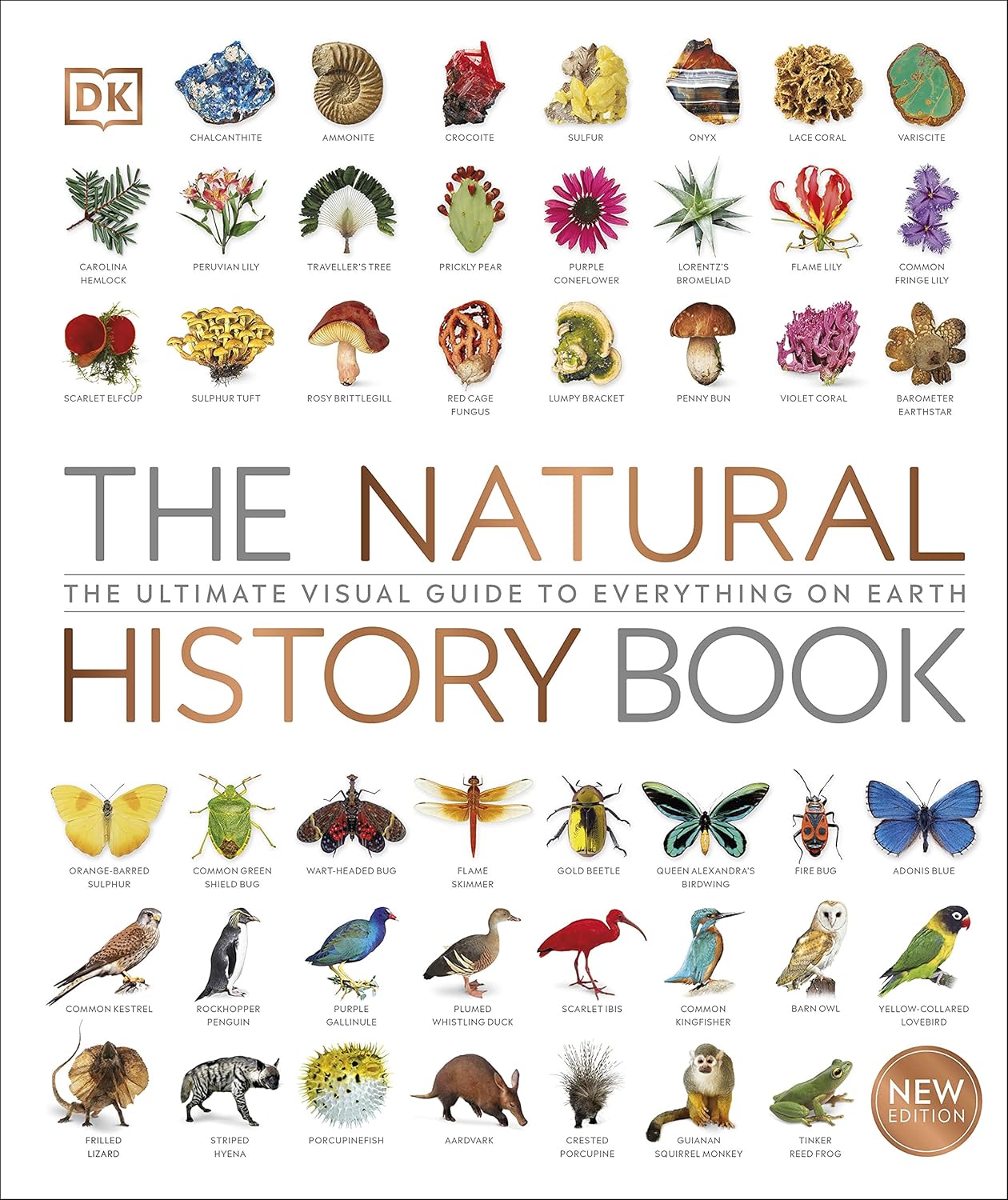 The Natural History Book The Ultimate Visual Guide to Everything on