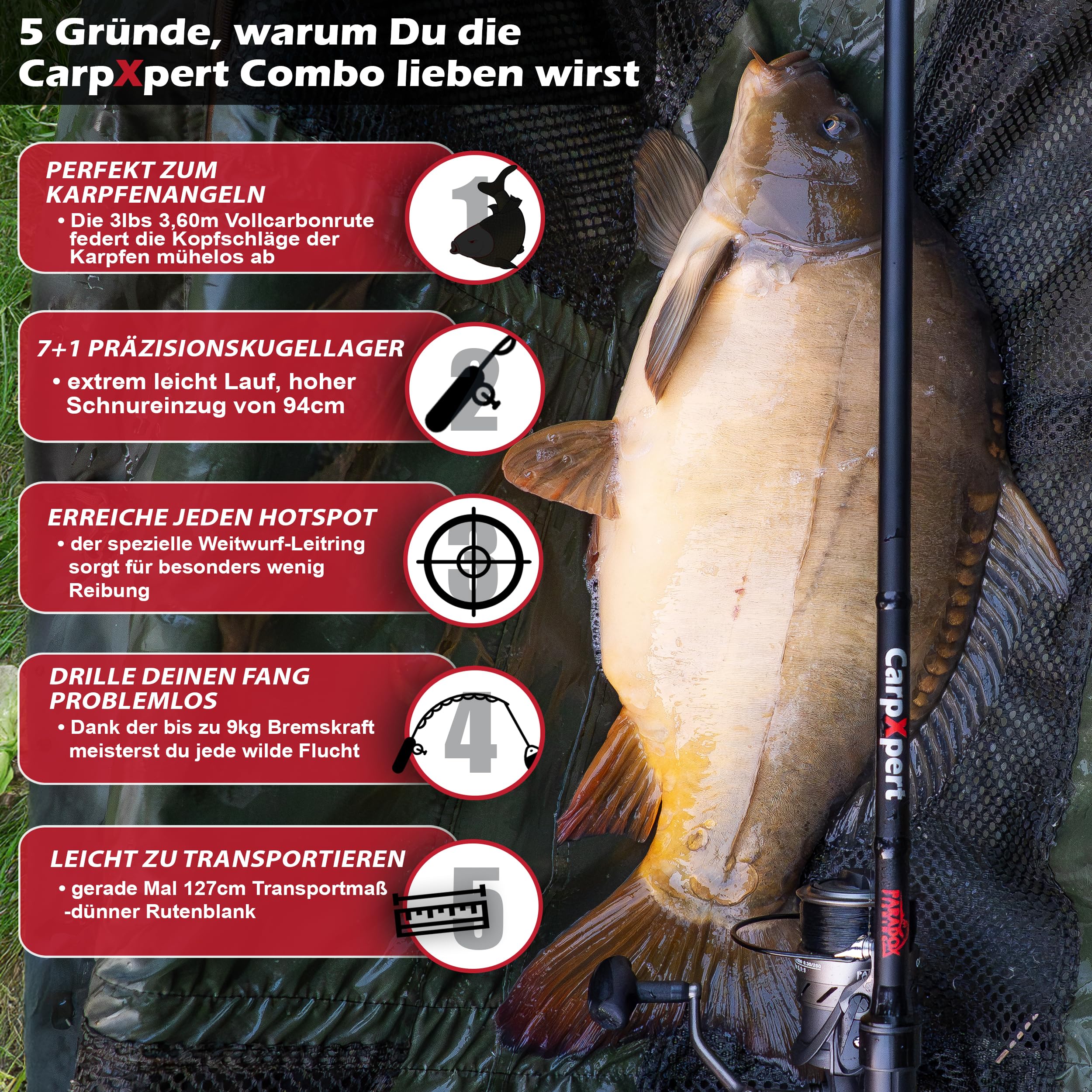 Paradox Fishing Karpfenrute CarpXpert 12ft 3,60m 3 LBS 3-teilig mit 5000 Carp Runner Karpfenrolle – Karpfen Angel Karpfen Rute