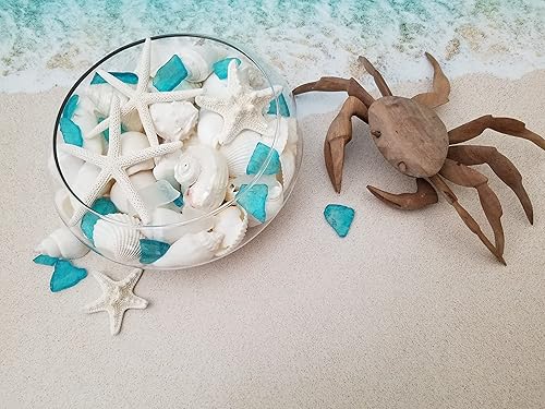 Miniatura 6 de Conchas marinas naturales, estrellas de mar y cristal de mar, generosas 1.5 libras recogidas a mano, empaquetadas a mano, bricolaje, manualidades,