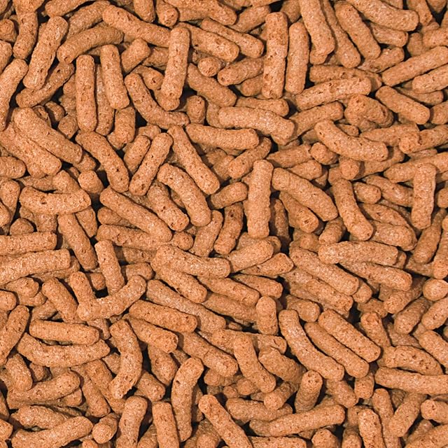 Foto 2 de 2 de Tropical Pet Food, Bunt, 4 kg, 4000
