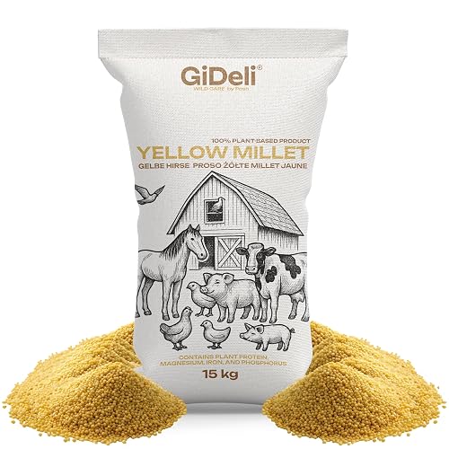 GiDeli Mijo amarillo 15 kg - Comida para periquitos de mijo - Comida para canarios y aves de compañía