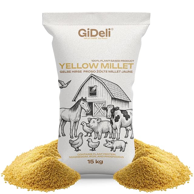 GiDeli Mijo amarillo 15 kg - Comida para periquitos de mijo - Comida para canarios y aves de compañía