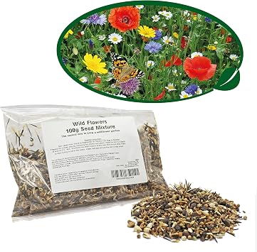 Pronto Seed Wildflower Seeds UK Mixed Variety Pack 100g | Seed mix for outdoor blooms from May to October. Easy-grow native British flowers for beds, borders & containers.
