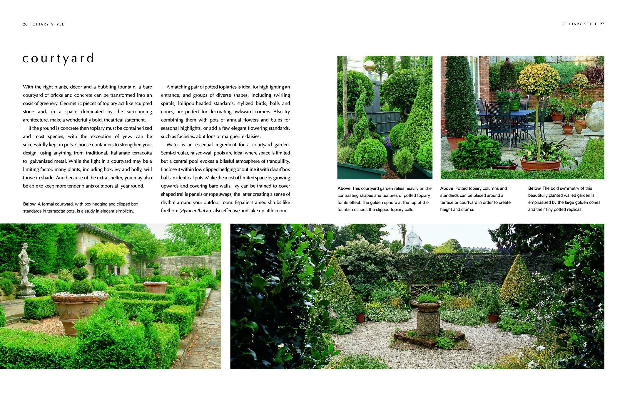 A Gardener's Guide to Topiary: The Art Of Clipping, Training And Shaping Plants