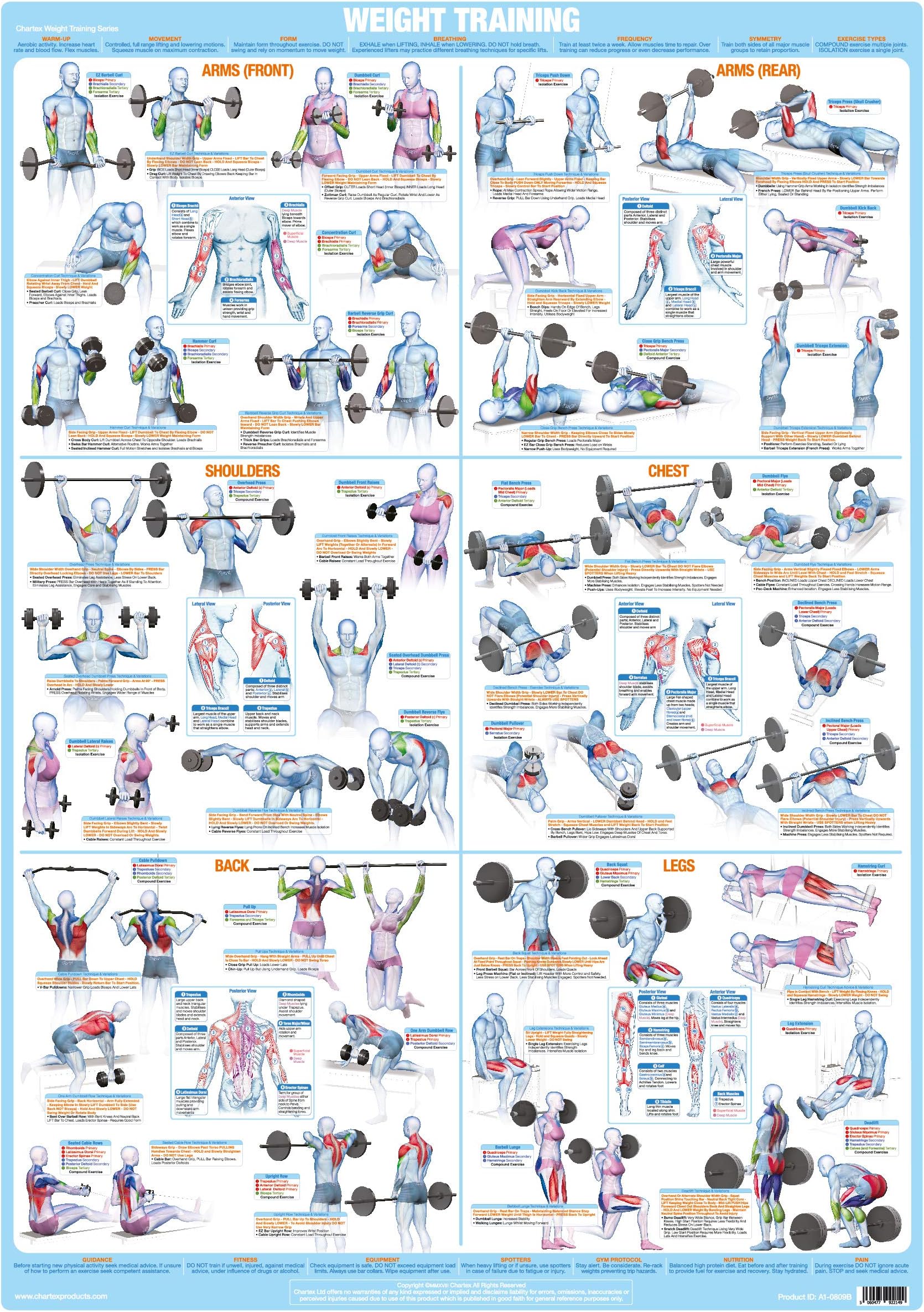 Weight Training Bodybuilding Poster | Barbell & Dumbbell Exercises