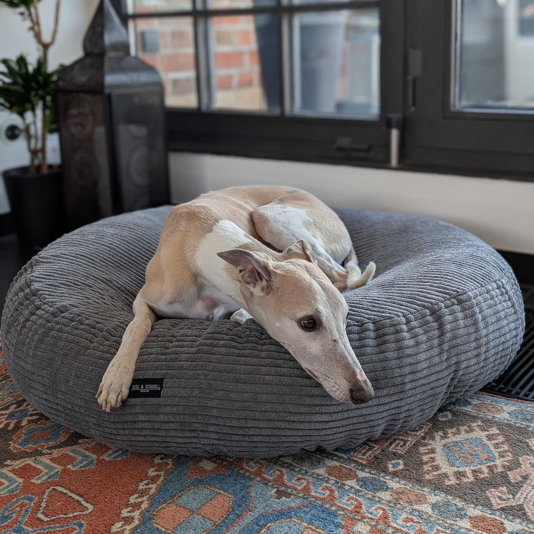 EDEL&SCHNELL Hundebett Wechselbezug in Dunkelgrau, Ersatzbezug für runde Hundebetten 90 cm, Bezug aus weichem Baumwoll-Cord-Stoff
