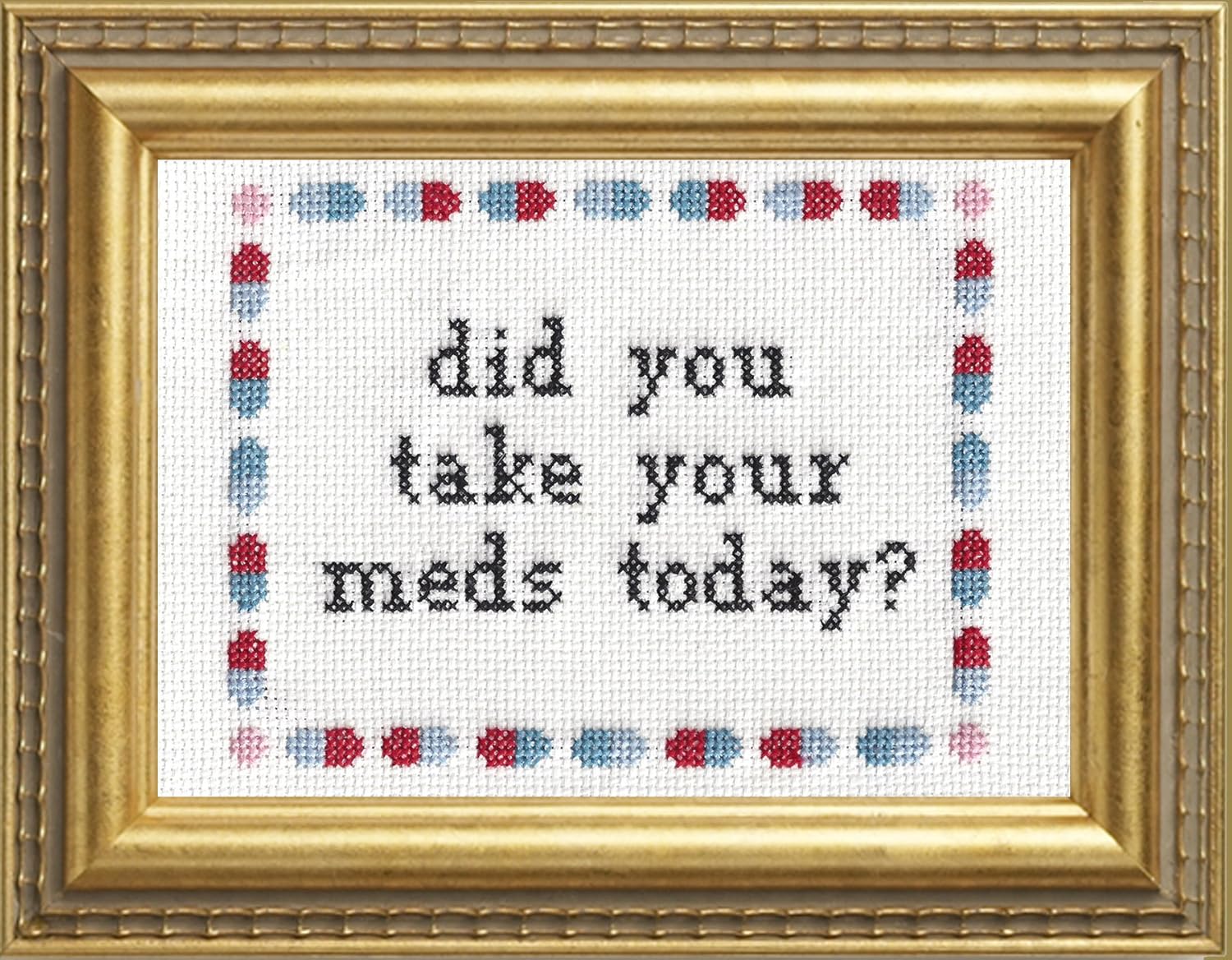 Subversive Cross Stitch "Did You Take Your Meds Today" Deluxe Kit