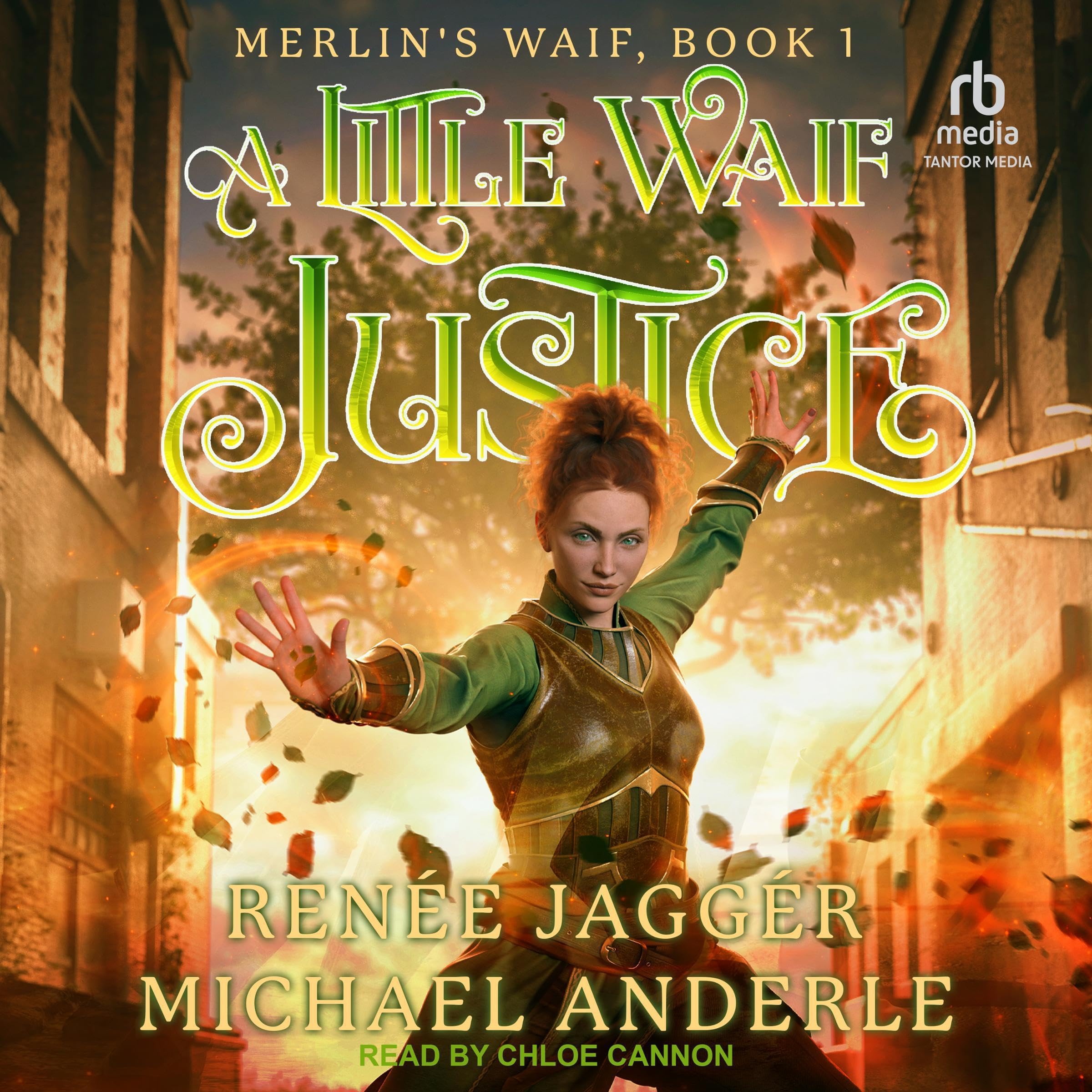 Cover art for A Little Waif Justice