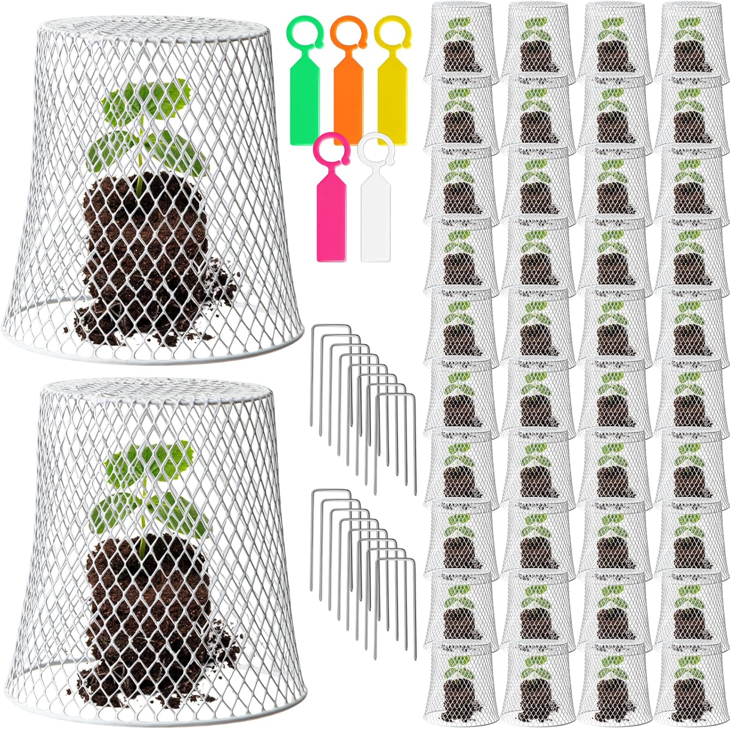 thumbnail image 2 of Chicken Wire Chicken Wire Cloche Plant Protectors And Covers,12.99 2 of 11
