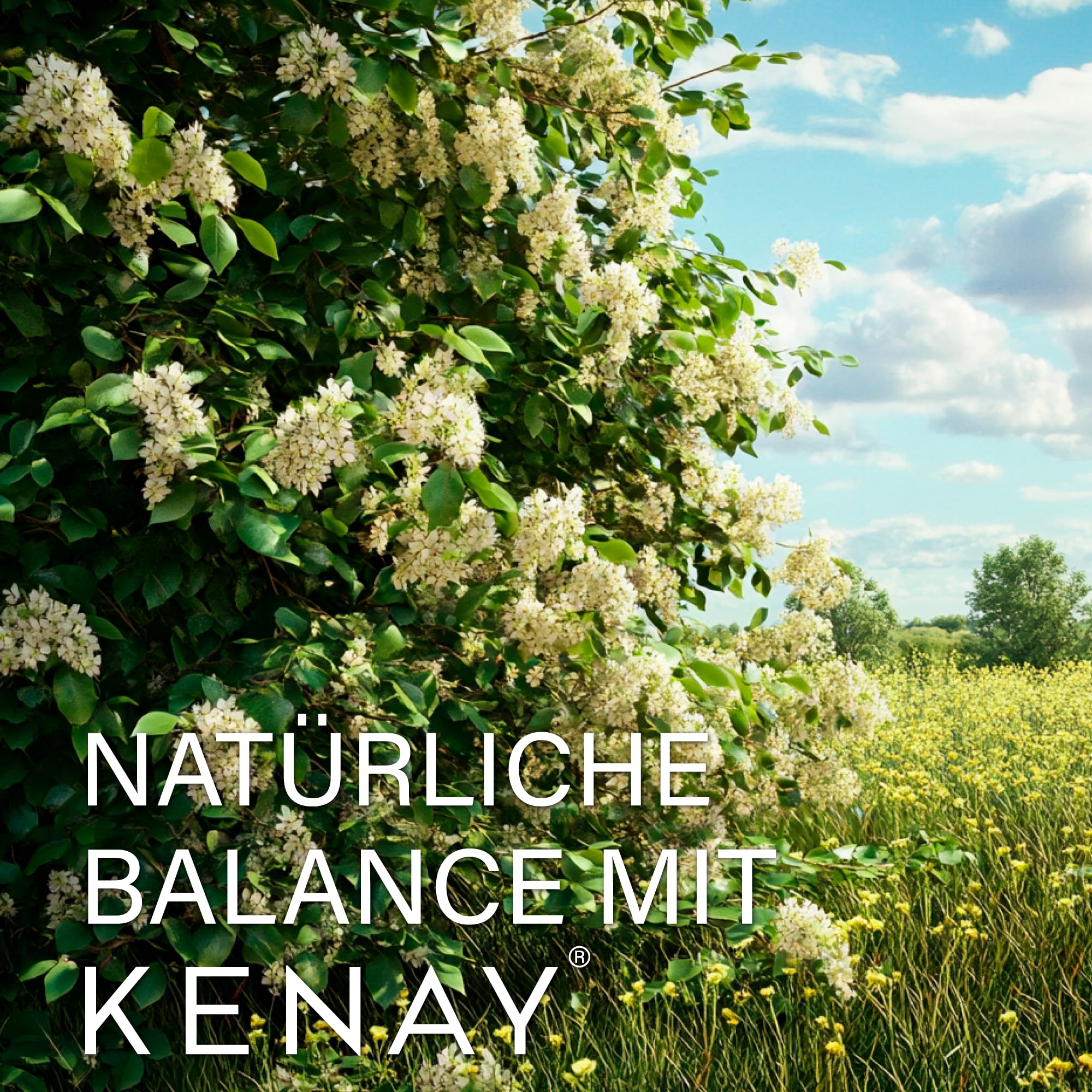 Quercetin Quercefit™ 60 Kapseln vegan Nahrungsergänzungsmittel