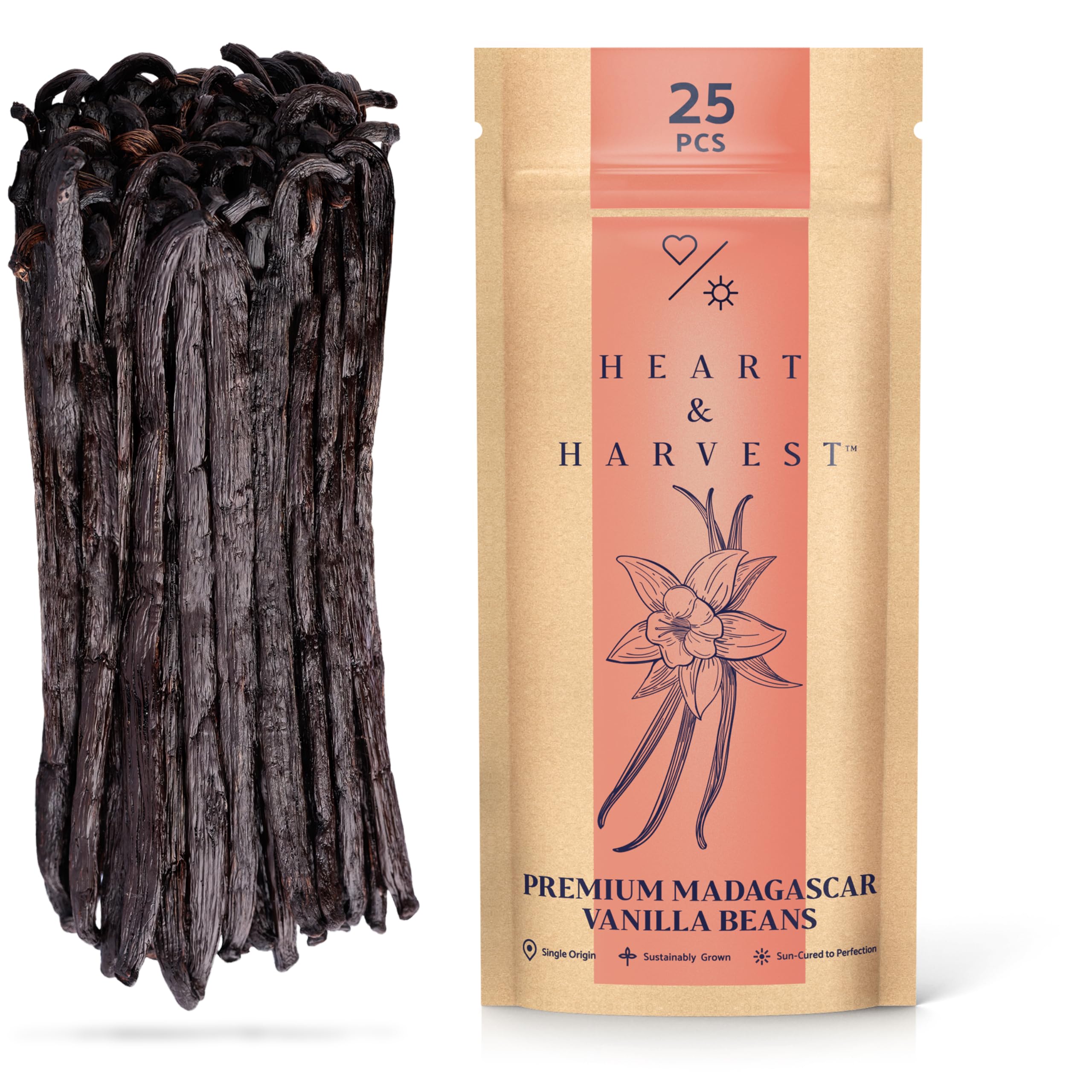 Bourbon Vanilla Pods (75 Pieces - 12-13 Cm) 100% Natural From - View #11