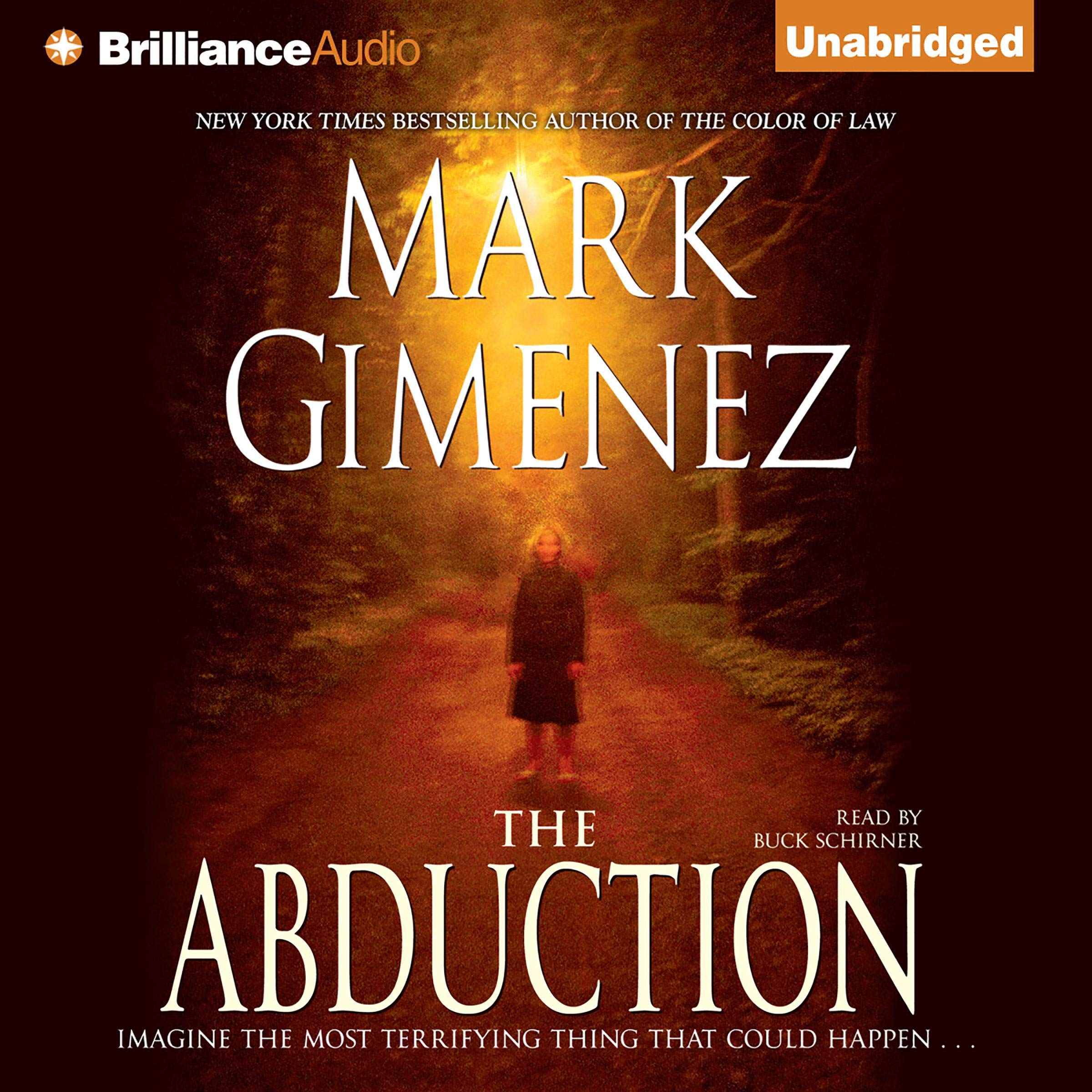 Cover art for The Abduction