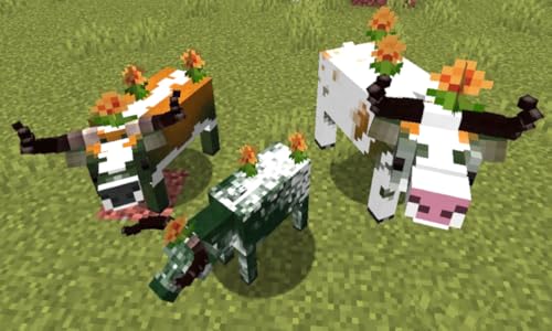Animal Zoo MOD NEW