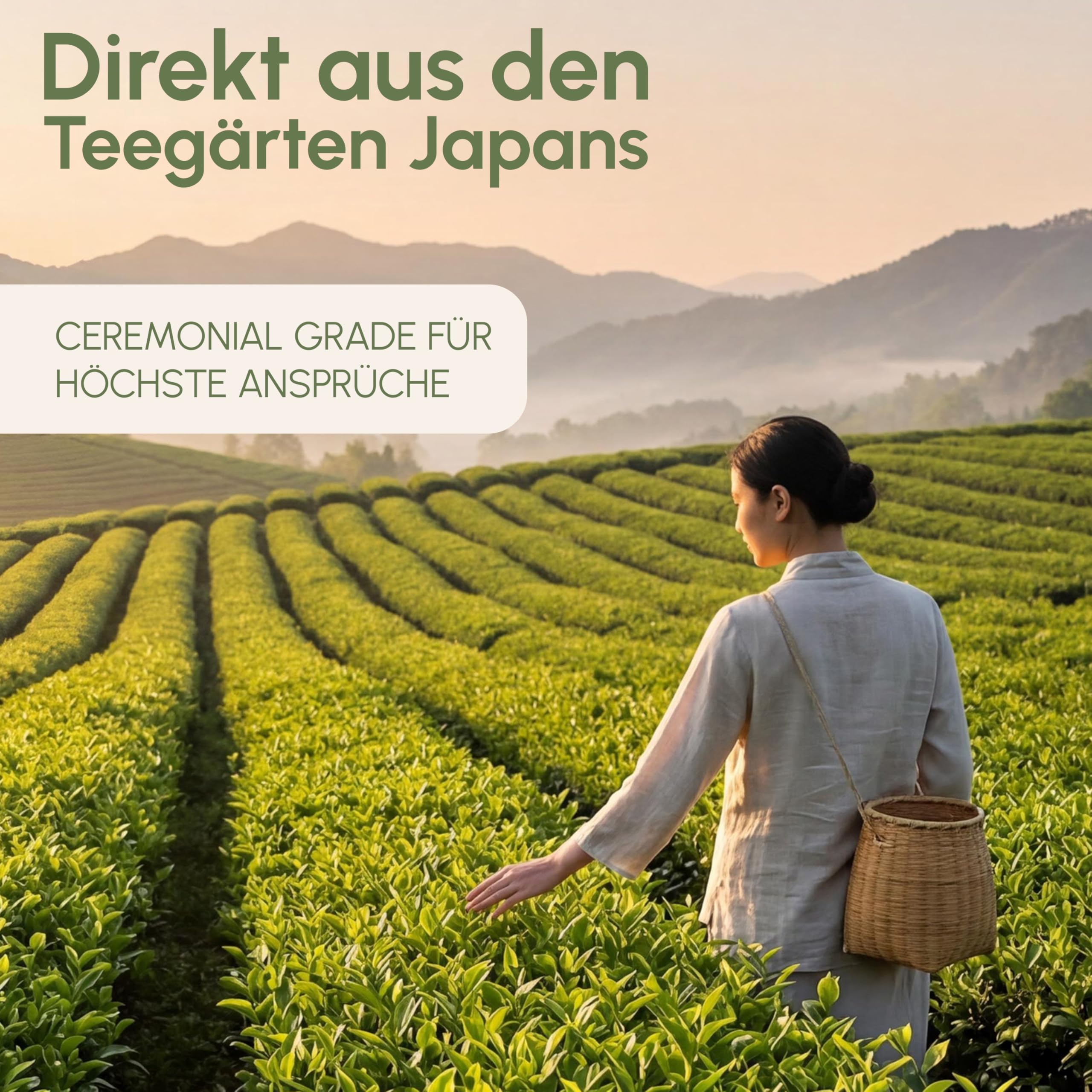 MŌY Ceremonial Grade Matcha Pulver aus Japan | Premium Matcha aus erster Frühlingsernte | Mild, cremig & nicht bitter | Vegan & glutenfrei | Ideal für Matcha Tee & Latte | 30g