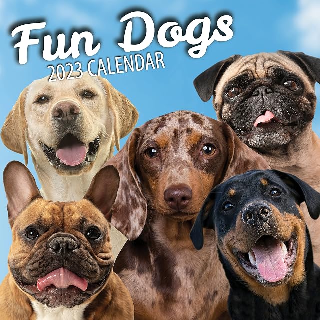 Fun Dogs Wall Calendar 2023 - Large Family Planner & Daily Organiser with Monthly Doggy Picture - Cute Dog Lover Gift, Christmas Stocking Filler & Slim Design 2023 Wall Planner