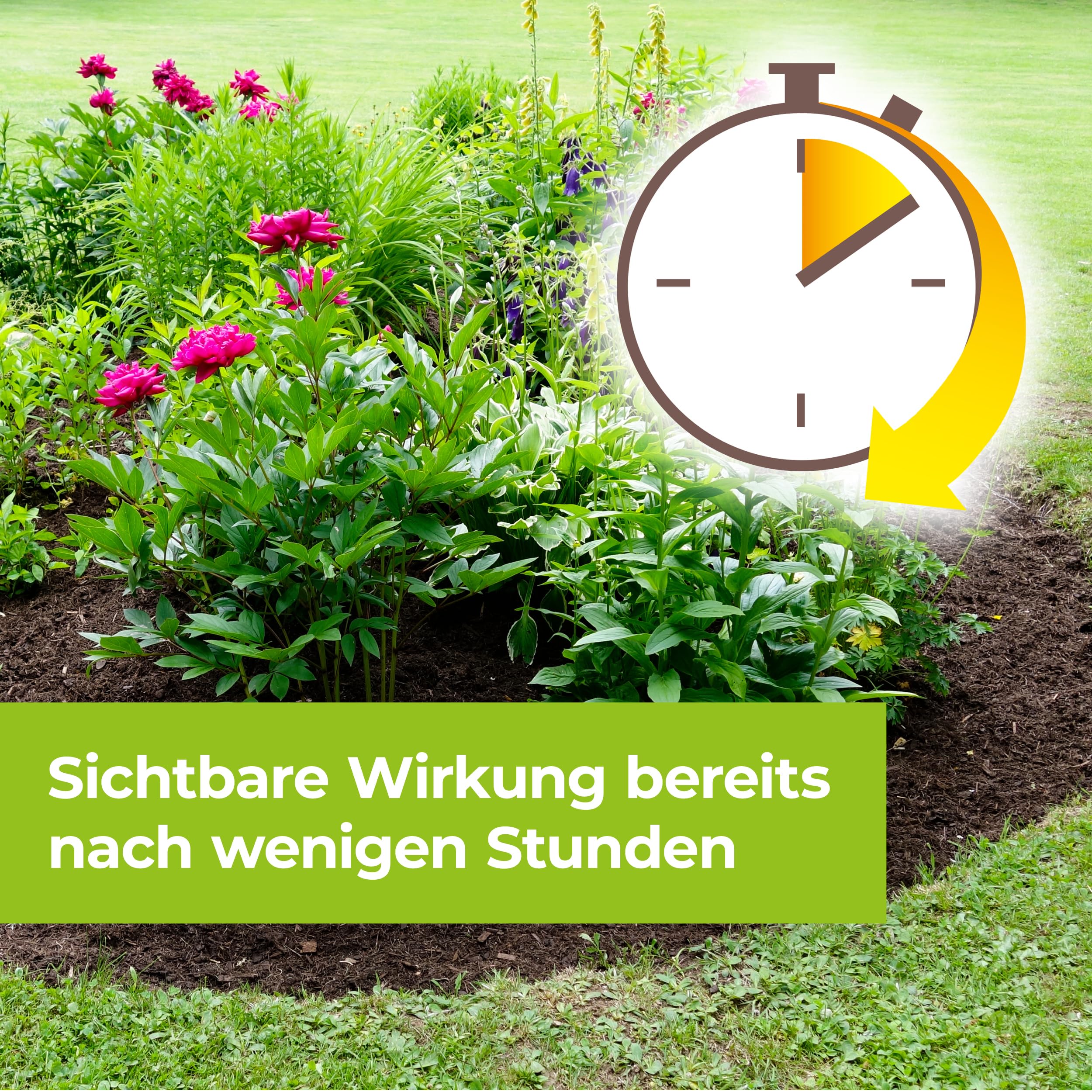 PROTECT GARDEN Permaclean Duo Unkraut & Wurzel Ex AF, anwendungsfertiger Unkrautvernichter mit Zweifachwirkung gegen Unkräuter und Ungräser, 3 Liter