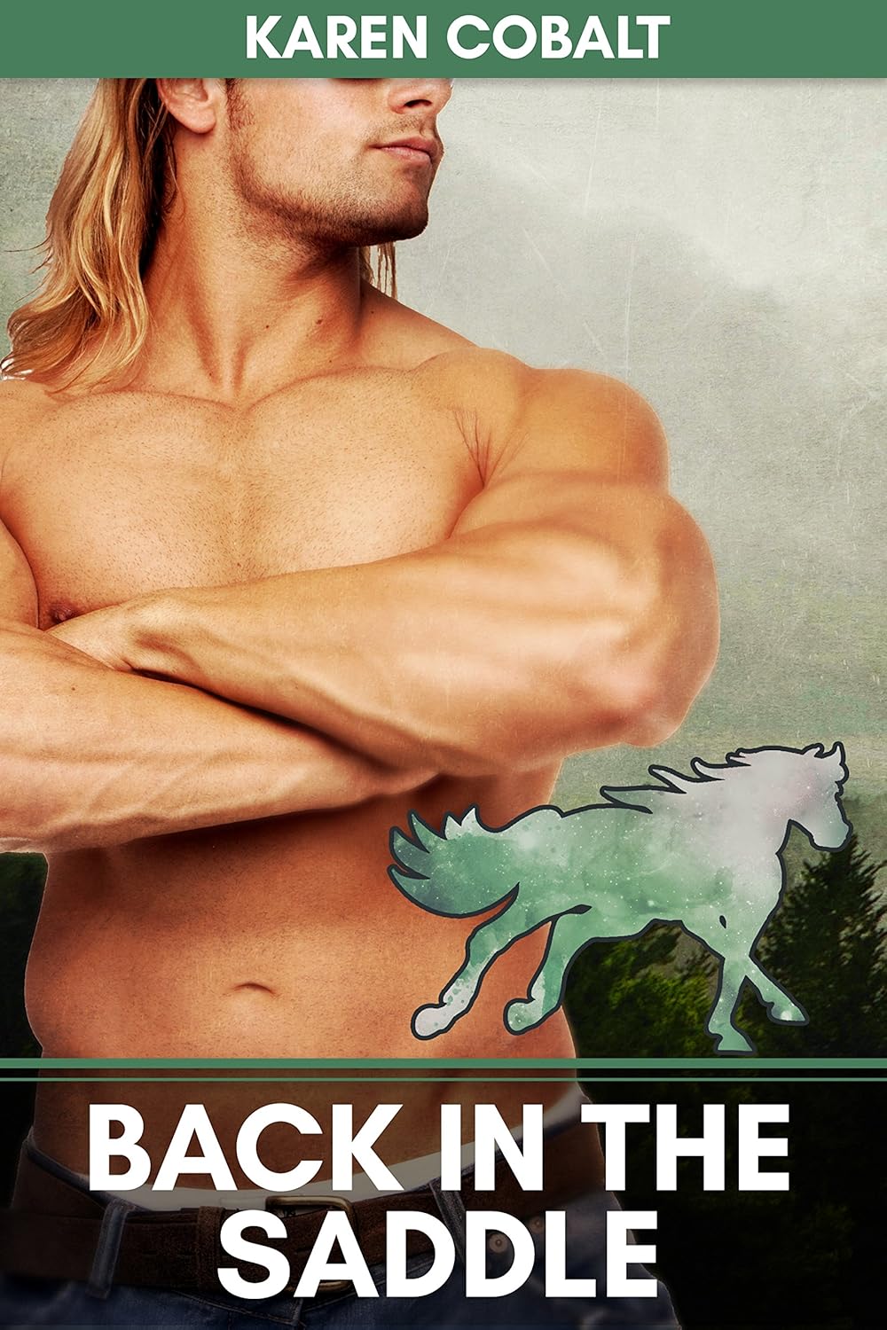 Back in the Saddle: A BBW and Werehorse Short