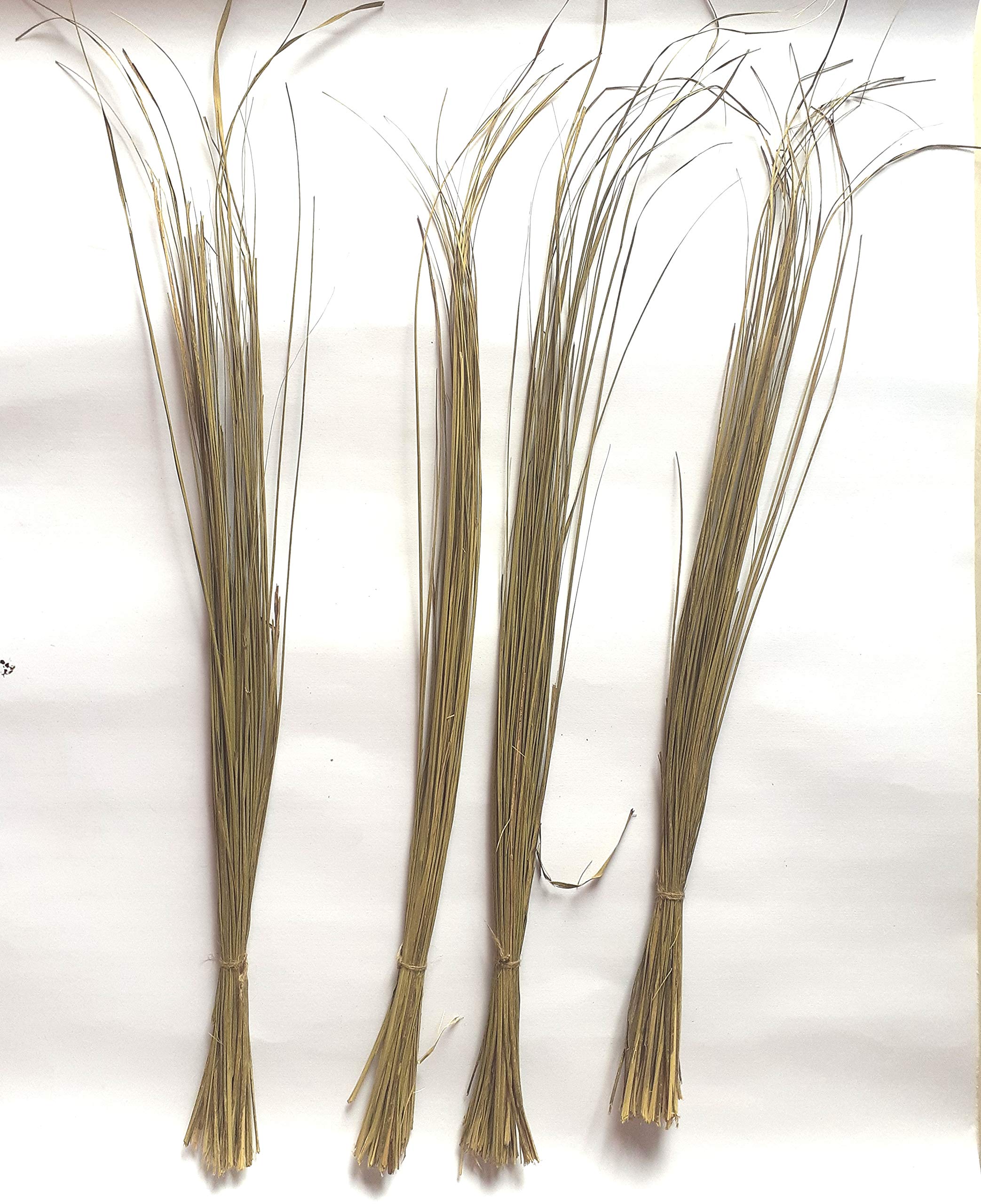 Darbha Grass or Kusha Grass Dharbha Grass Halfa Grass 11 Bundle for Pooja