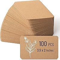 Mr. Pen Kraft Mini Note Cards 3.5x2.1 Inch 100 Pack Blank Small Index Cards for Flashcards Business Cards School Office Home