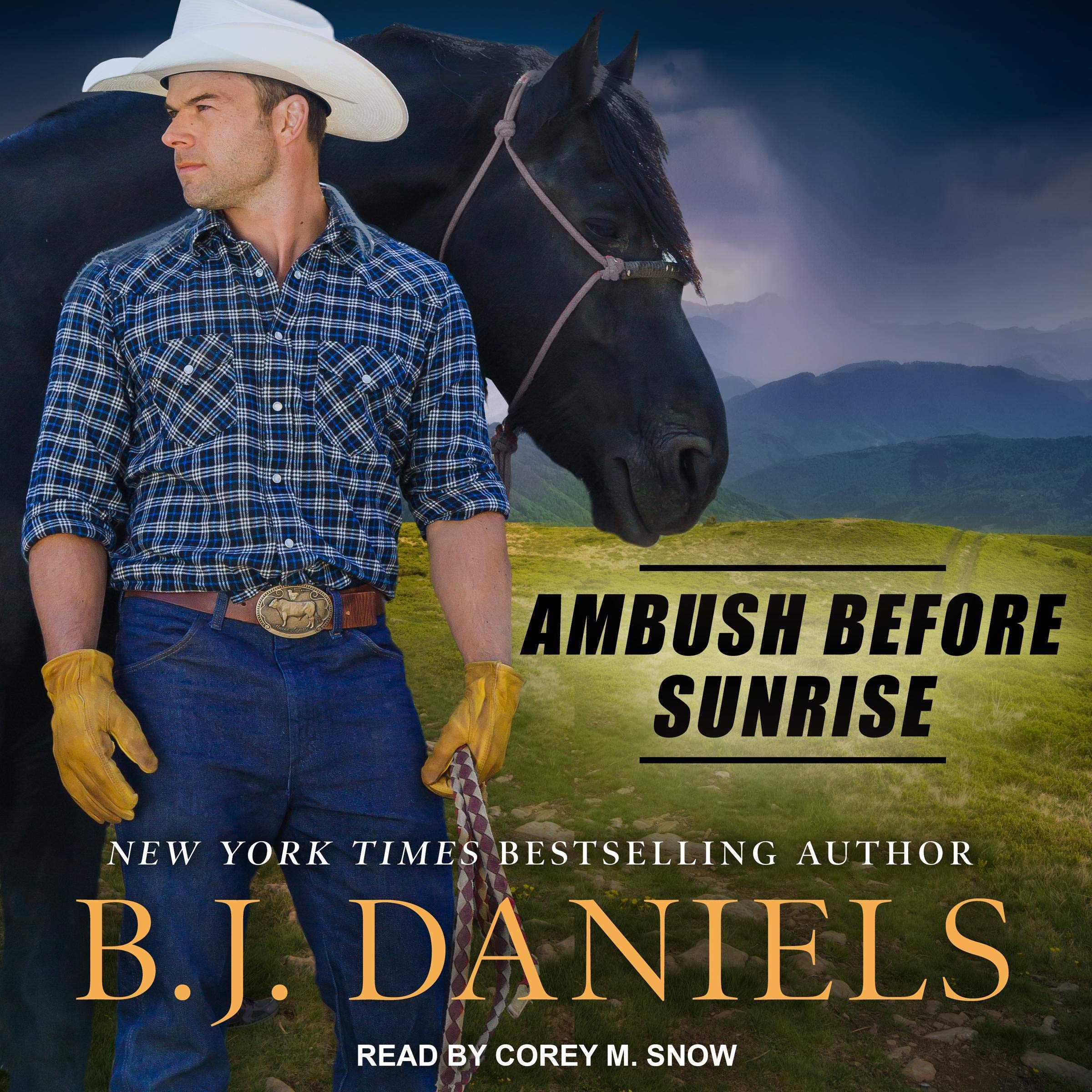 Cover art for Ambush Before Sunrise