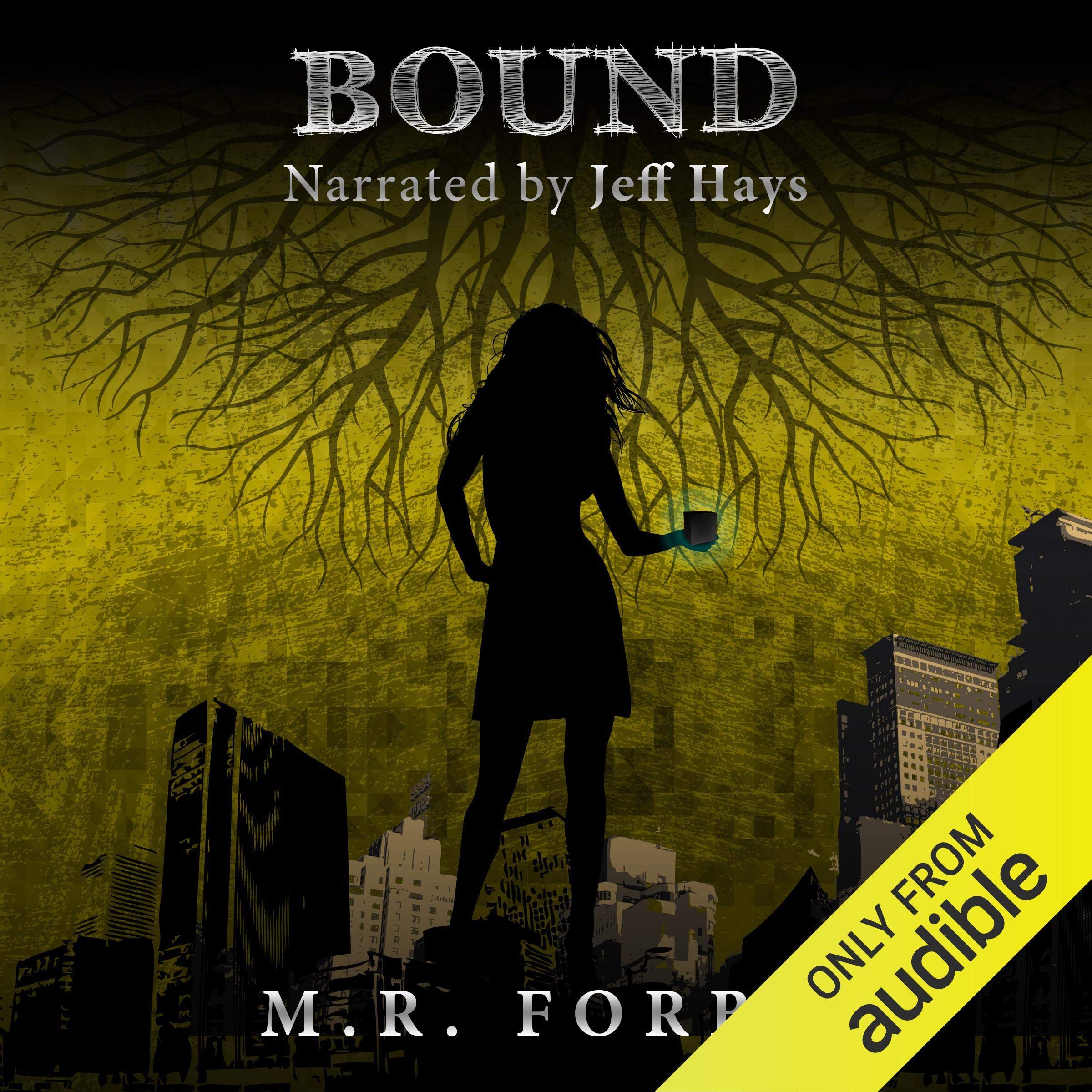 Cover art for Bound: The Divine, Book 4