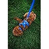 Product Photo 3