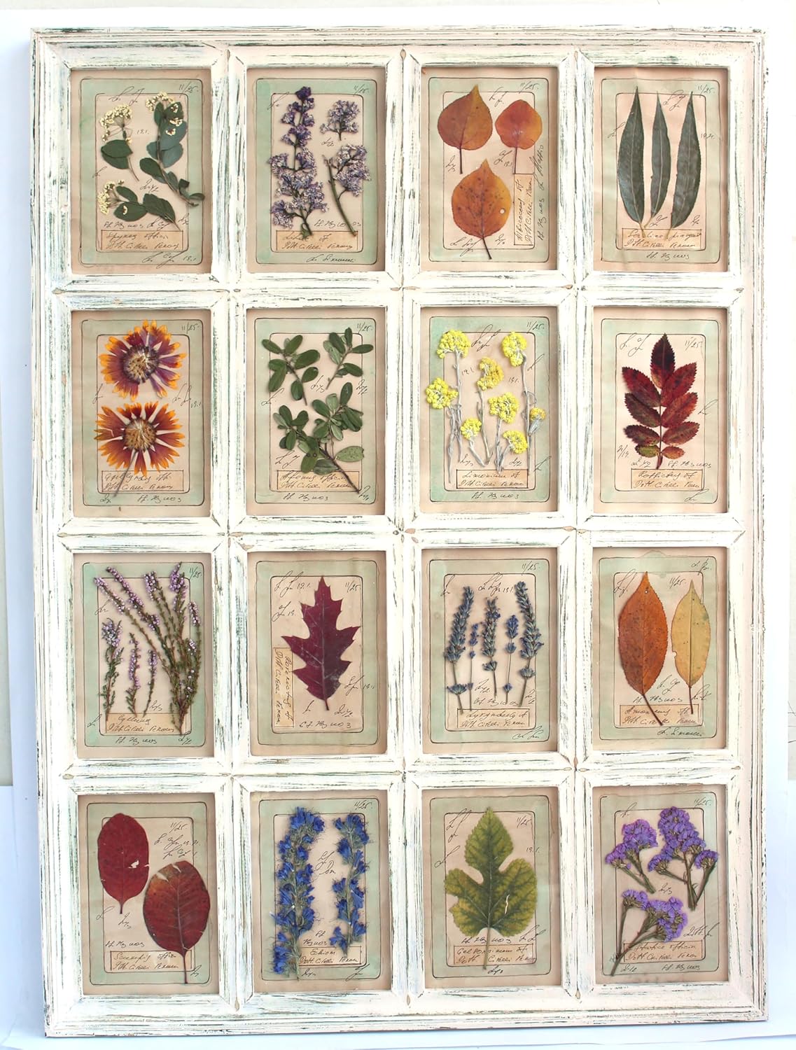 Pressed Herbs Frame, Large Floral Framed Art, Pressed Flower Art, Farmhouse Wall Art, Dried Flower Art