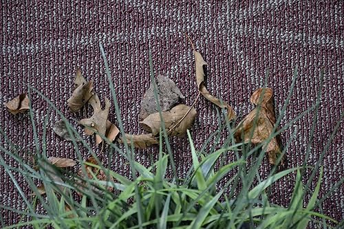 Miniatura 2 de Furnish my Place Alfombra negra comercial moderna para interiores y exteriores, alfombra de área moderna, alfombra de puerta, alfombra redonda,