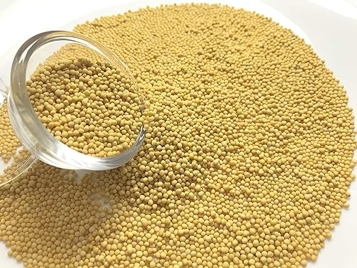 Miniatura 3 de Semilla de mostaza amarilla orgánica, Sinapis alba, sin rellenos, sin aditivos, calidad premium (2)