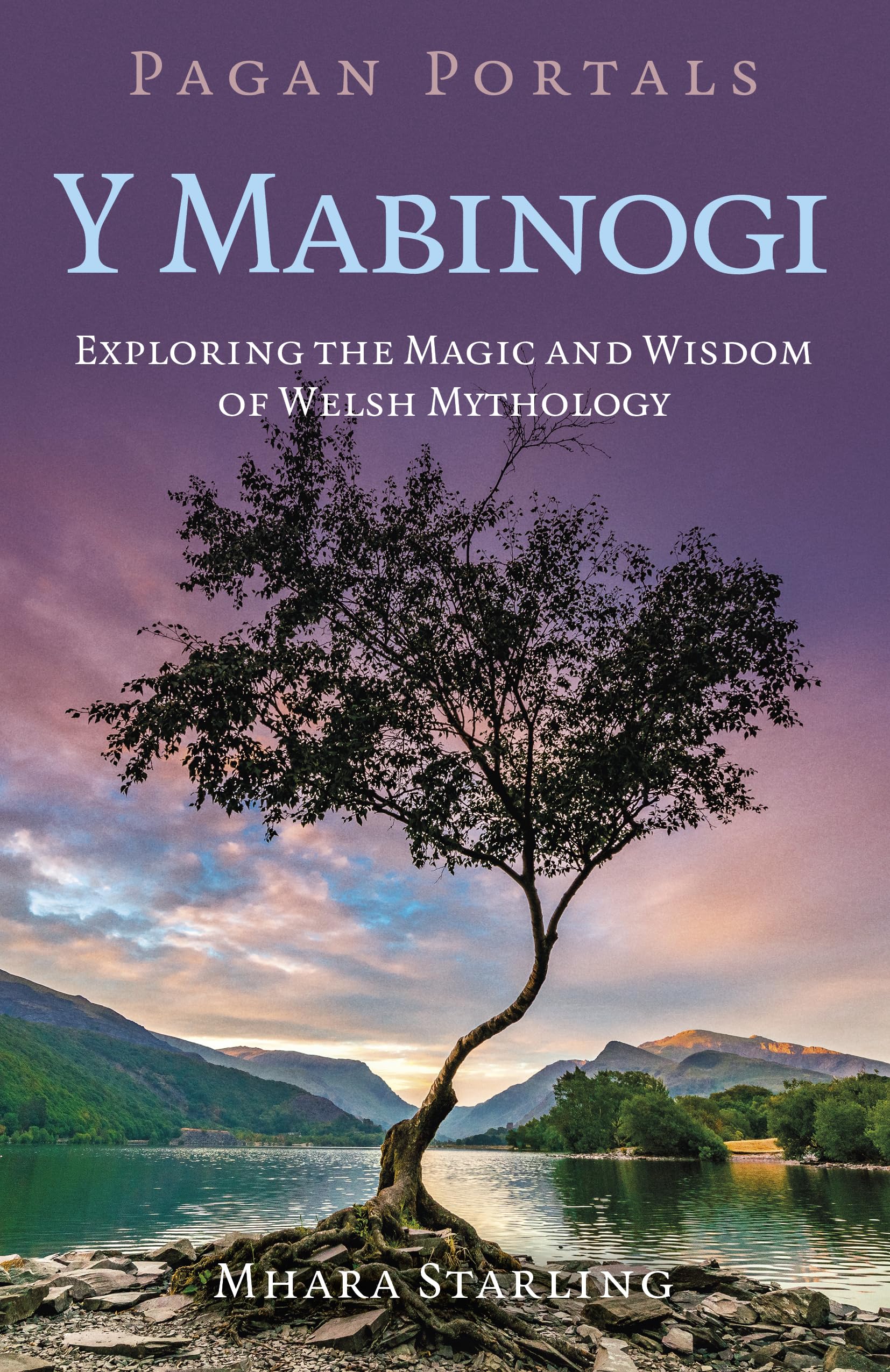 Pagan Portals Y Mabinogi: Exploring the Magic and Wisdom of Welsh Mythology