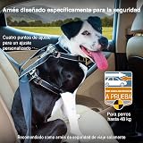 Ver la foto 4