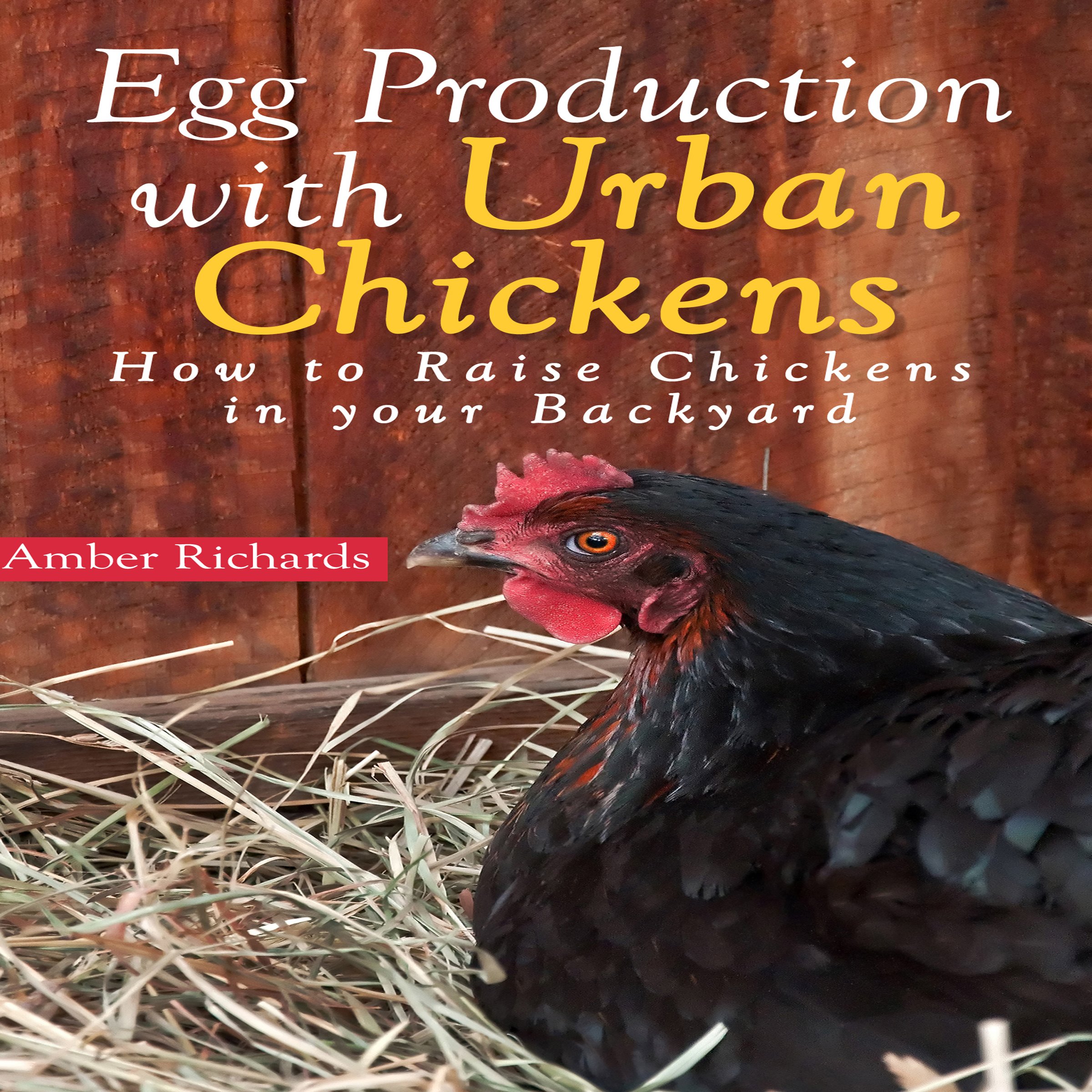 Cover art for Egg Production with Urban Chickens