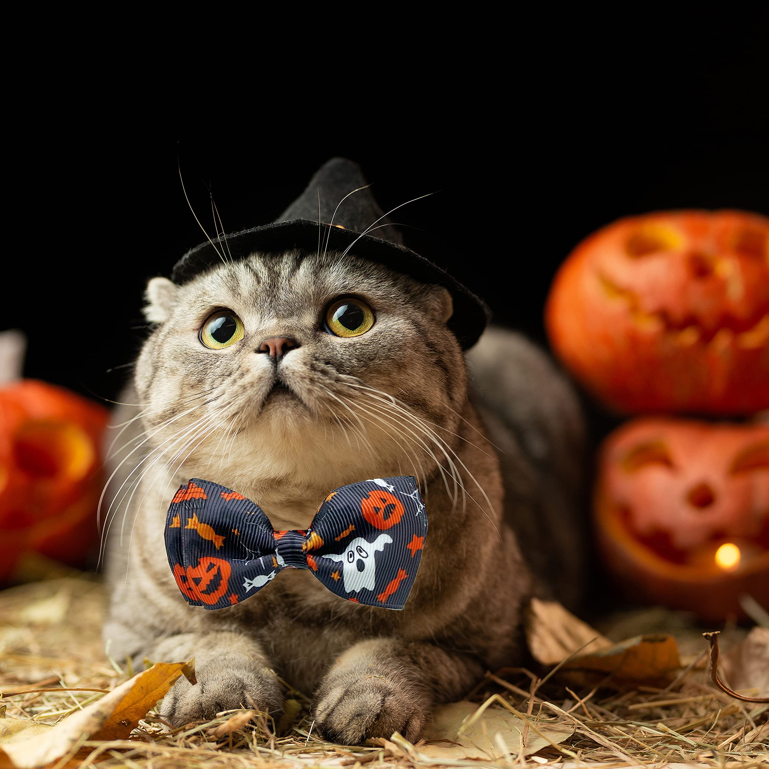 2 Halloween Katzenhalsbänder Mit Glöckchen & Anhänger – Verstellbar, Sicher Mit Breakaway-Buckle