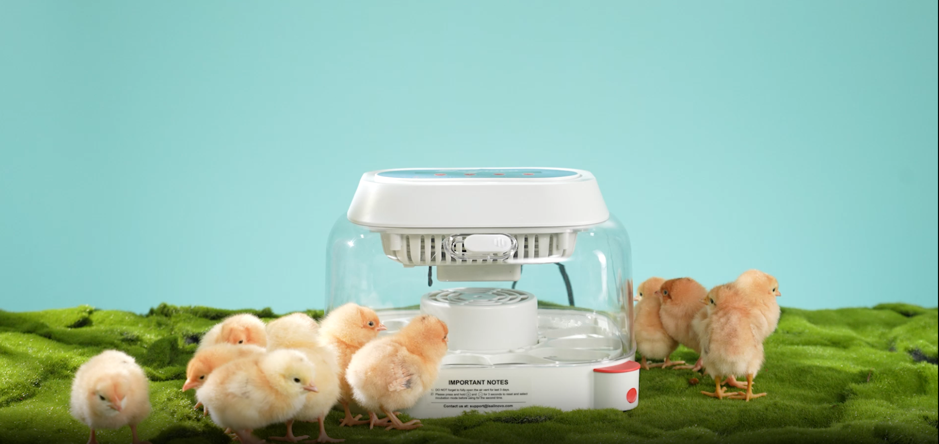 Incubator with lid removed, showing eggs and removable tray