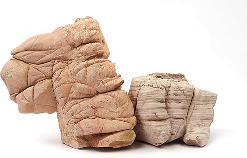 Miniatura 5 de LANDEN Piedra de piel de elefante natural con múltiples texturas (18 libras, 3  9 pulgadas, 7 unidades) para acuario, paludario, terrarios,