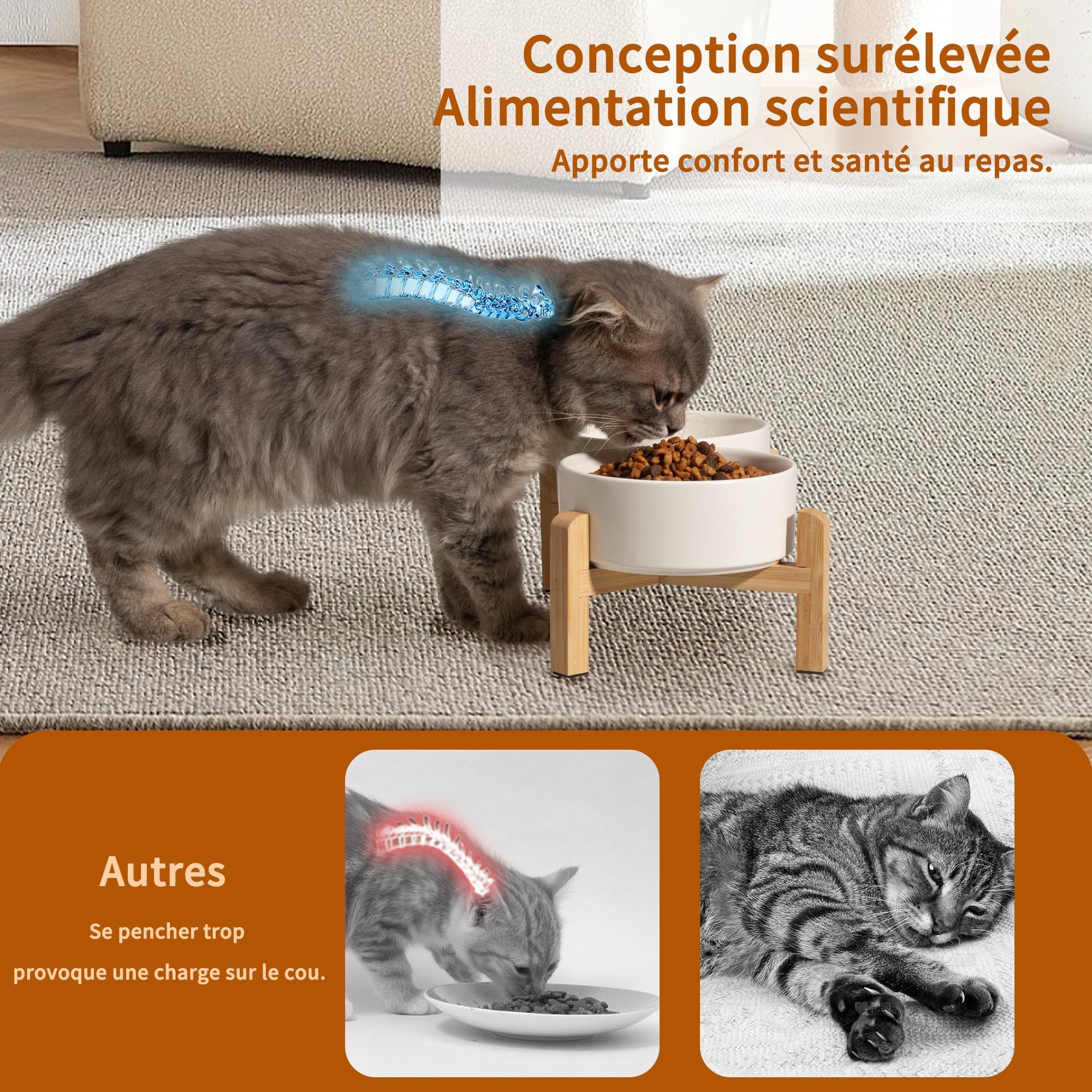 Gamelle Surélevée pour Chien et Chat - Double Bol Céramique avec Support en Bambou - Set pour Nourriture et Eau - Petits Animaux - 2 x 480 ML