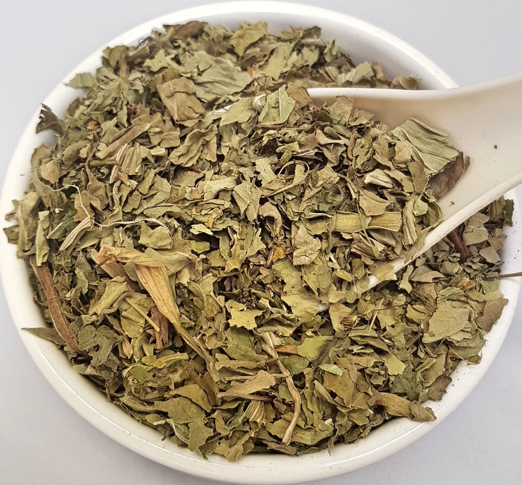 Health Embassy Feuille de Plantain Majeur Tisane | Plantago Major L | Greater Plantain Leaf (50g)