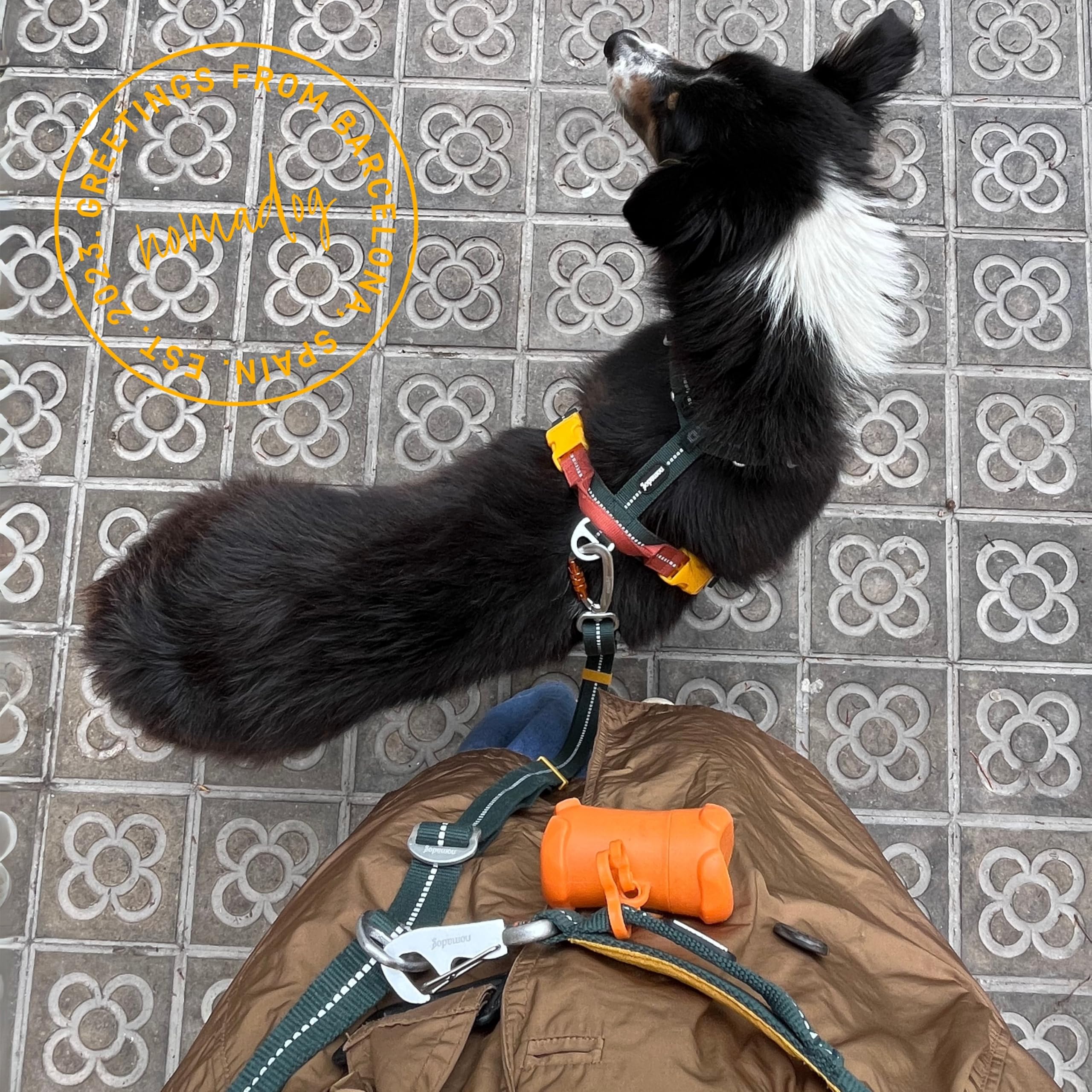 Nomadog Trailblazer Guinzaglio per Cani Multifunzionale 6-in-1 - Guinzaglio Doppio Moschettone Girevole a 360° in Alluminio, Regolabile 1,4-2,4 m, Riflettente - Ideale per Escursioni