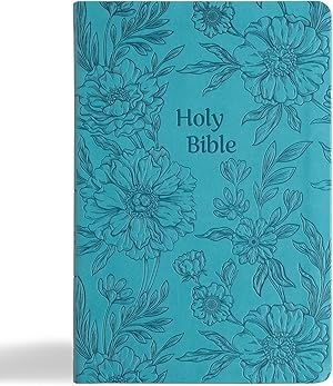 NASB Large Print Thinline Bible, Value Edition, Teal LeatherTouch - by Holman Bible Publishers (Leather Bound)