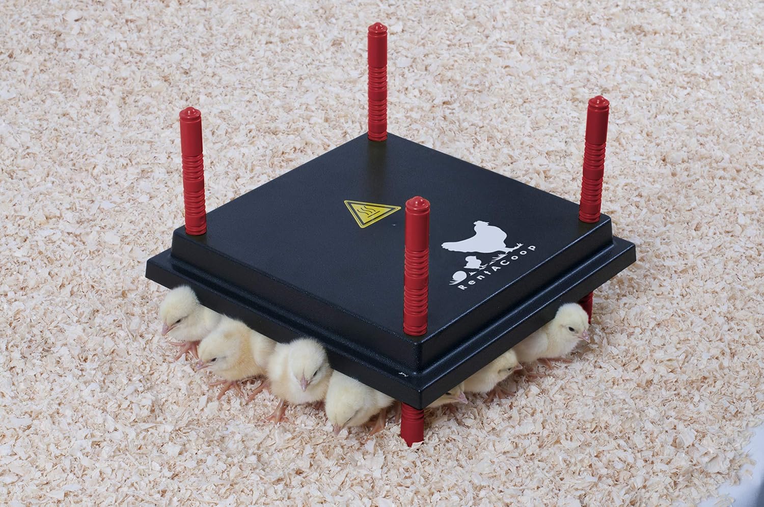 RentACoop (10" x 10") Chick Brooder Heating Plate - Warms Up to 15 Chicks - 15 Watts