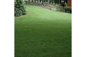 Outsidepride Golf Course Fairway Grass Seed