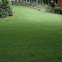 Vista 1 de Outsidepride Semilla de césped híbrida Bluegrass tolerante al calor y la sequía SPF-30 - 50 libras