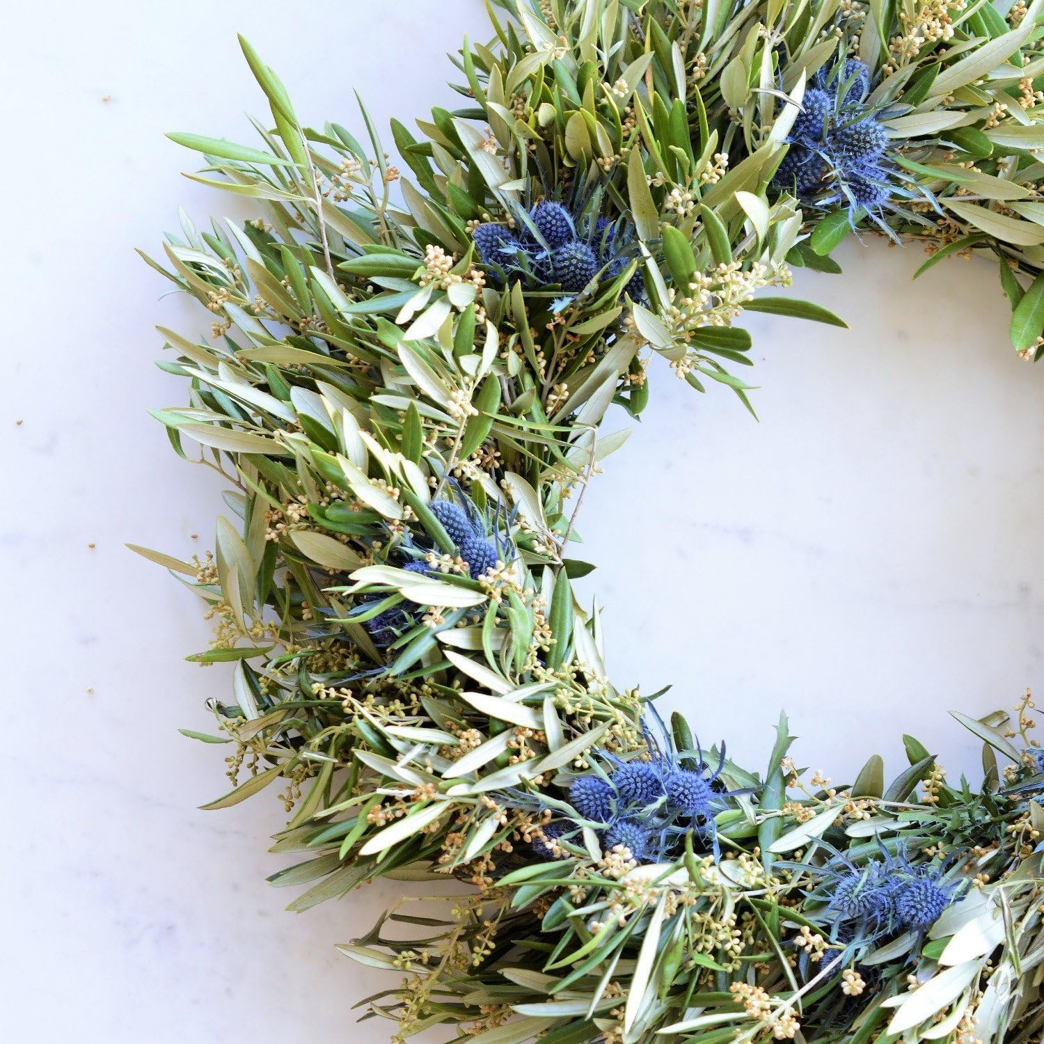 Club Botanic Blue Thistle and Olive Wreath Fresh Winter